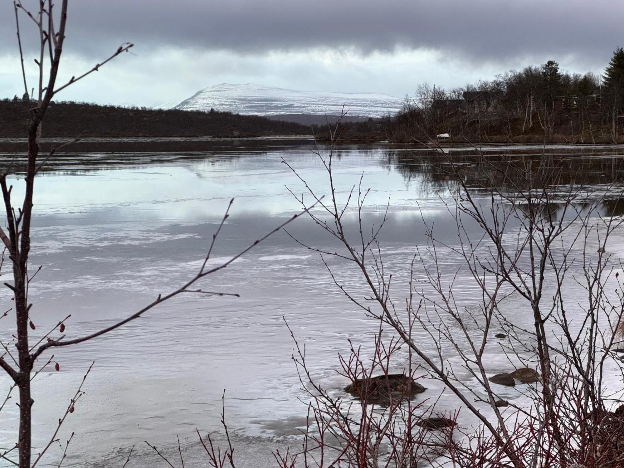 Cottage Lavkavann Finnmarksvidda Skoganvarre Kültér fotó