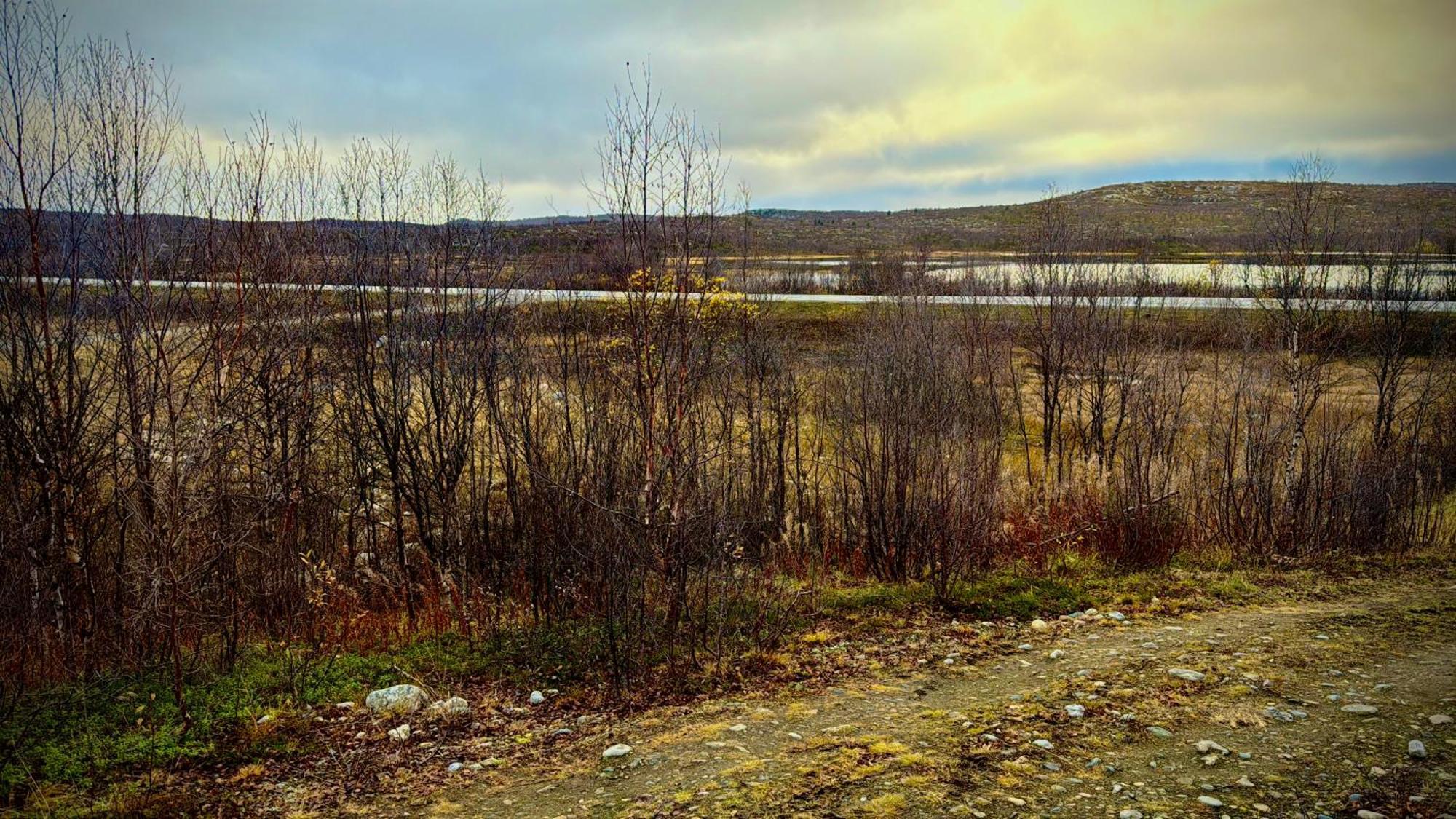 Cottage Lavkavann Finnmarksvidda Skoganvarre Kültér fotó