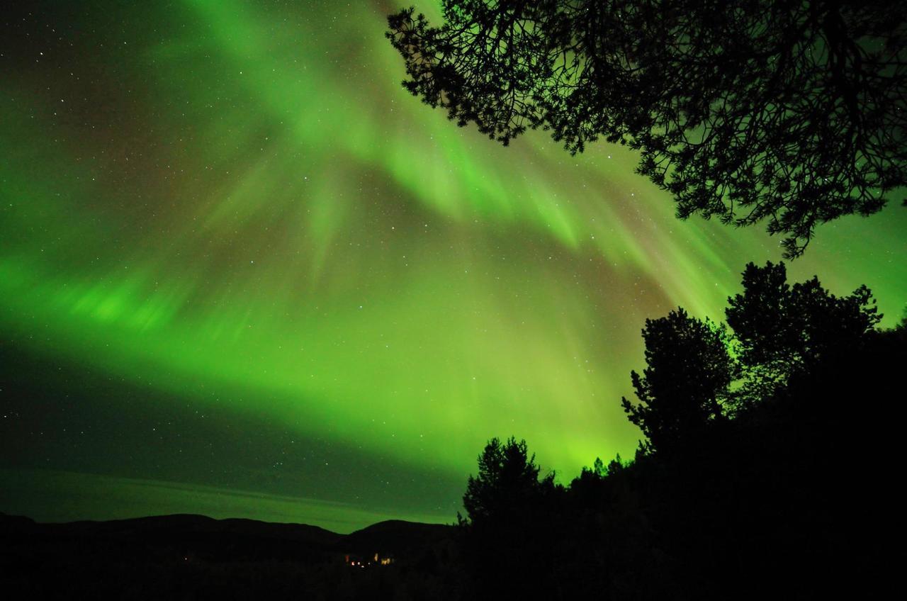 Cottage Lavkavann Finnmarksvidda Skoganvarre Kültér fotó