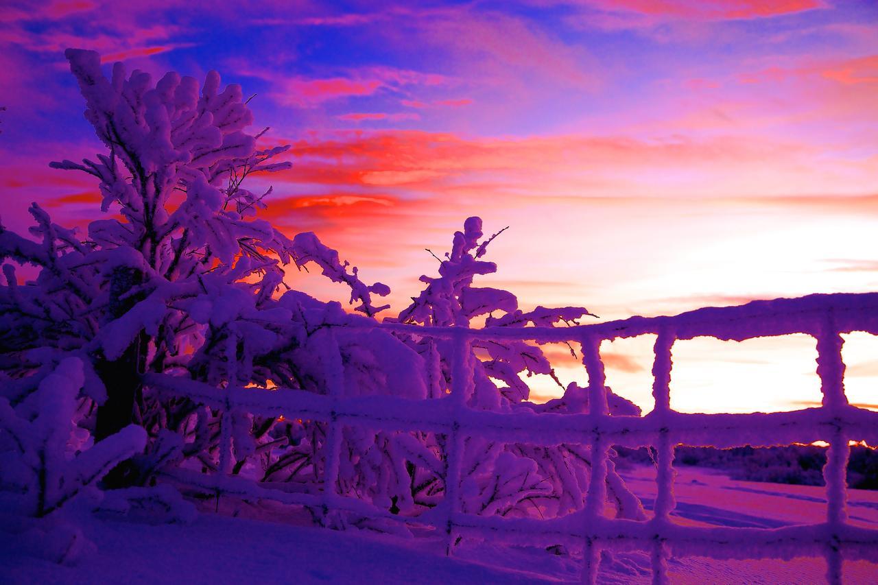 Cottage Lavkavann Finnmarksvidda Skoganvarre Kültér fotó